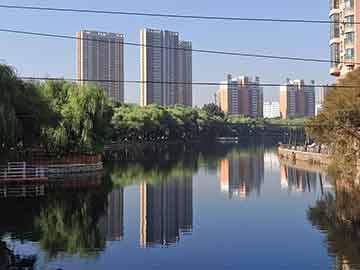 高考学习英语（高考英语怎么学才能快速提高）